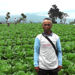 Binaan-6-Mahmud-Petani Sawi Putih Nogon 255-Cianjur